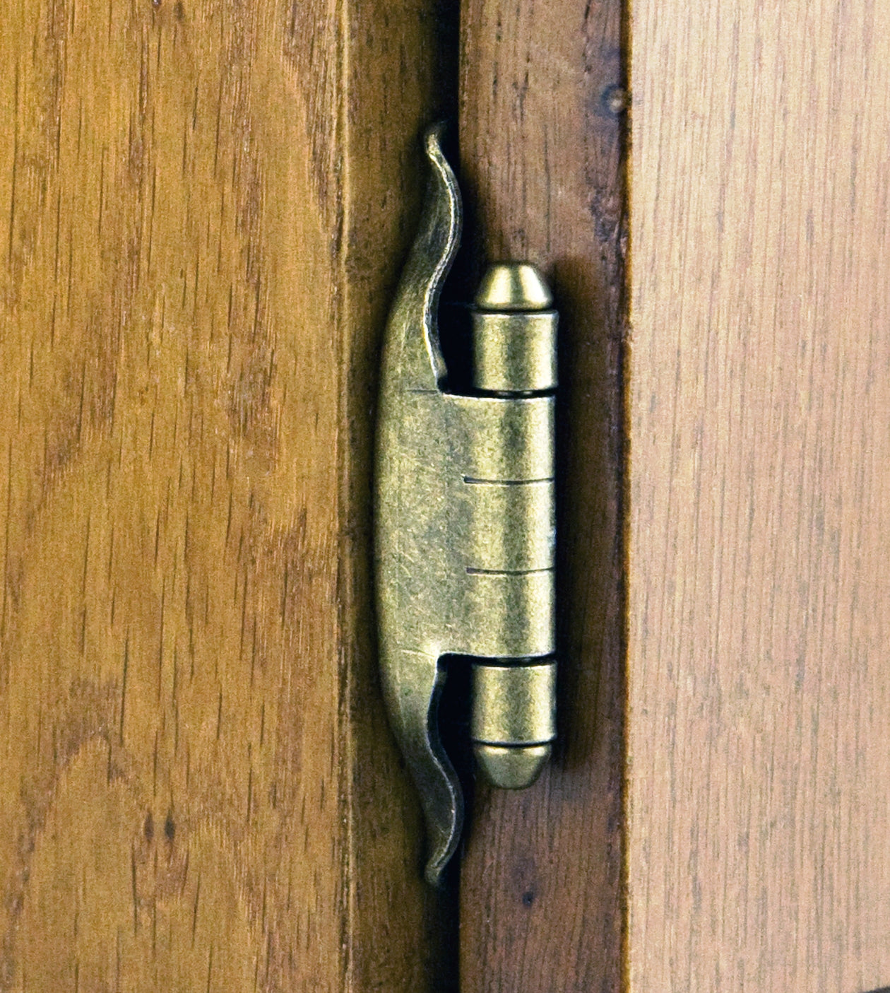Set consisting of two SISO / UMAXO® vintage furniture hinges for wooden doors with visible hinge joints. Antique-style furniture hinges with self-closing mechanism, 6 mm overlay, and 2D adjustment.