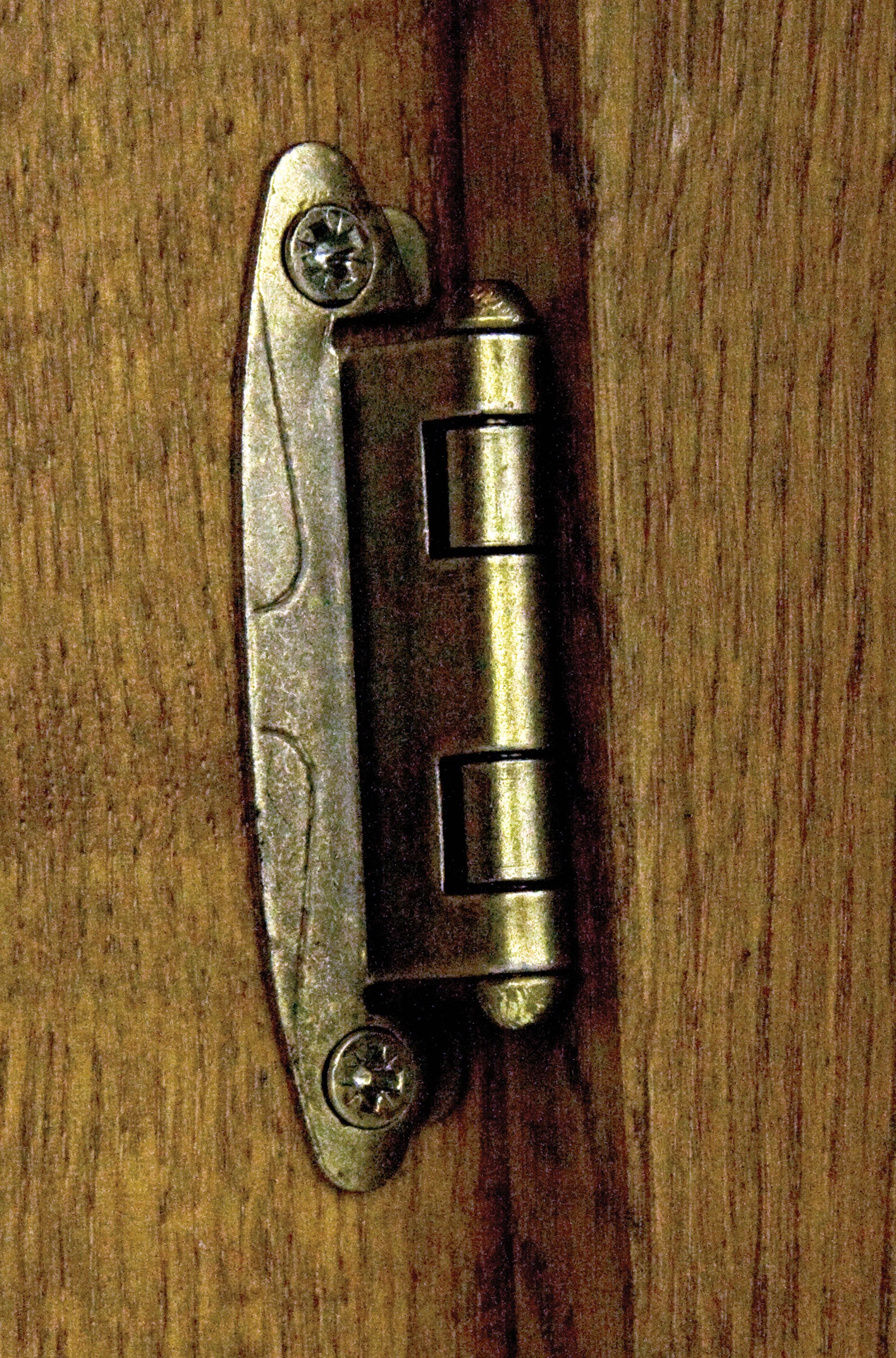 Set consisting of two SISO / UMAXO® vintage furniture hinges for framed cabinets with visible hinge joints. Antique-style furniture hinges with self-closing mechanism, adjustable overlay.